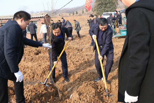 卫东区千人大会战开展国土绿化集中行动