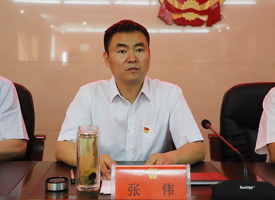 区委副书记,代理区长张伟出席会议