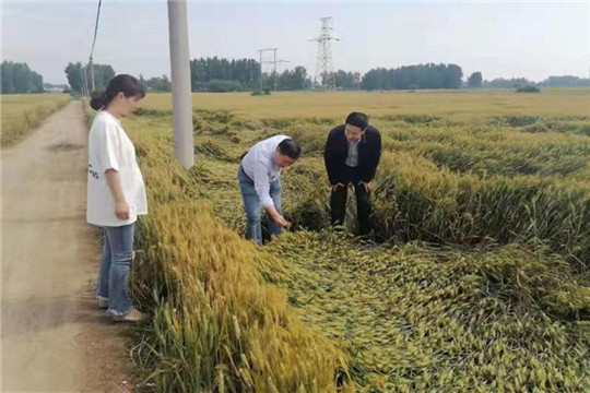 微信图片_20210519085719_副本.jpg