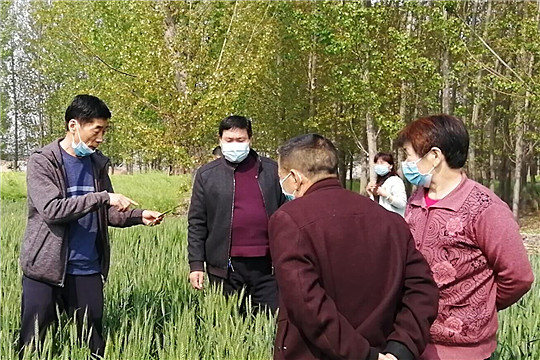 QQ图片20200410092604_副本.jpg