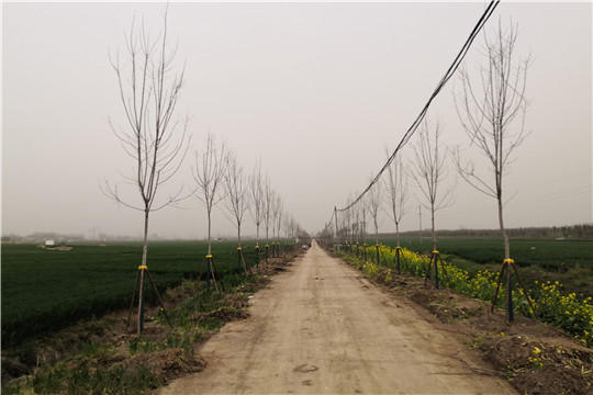 微信图片_20210317145410_副本.jpg