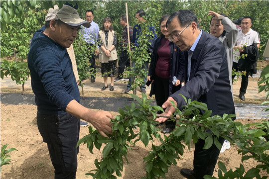 微信图片_20210429162614_副本.jpg
